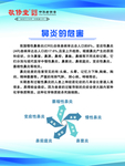 鼻炎的危害