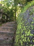福建武夷山
