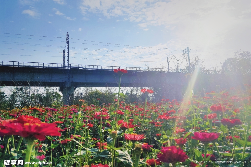 植物园
