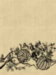 背景素材