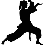 武术格斗剪影