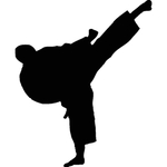 武术格斗剪影