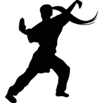 武术格斗剪影
