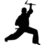 武术格斗剪影