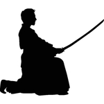 武术格斗剪影