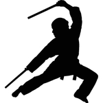 武术格斗剪影
