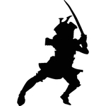 武术格斗剪影