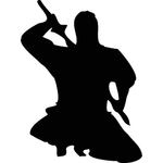 武术格斗剪影