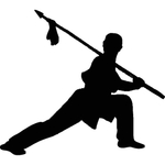 武术格斗剪影