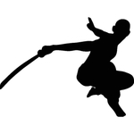 武术格斗剪影