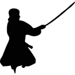 武术格斗剪影