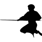 武术格斗剪影