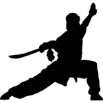 武术格斗剪影