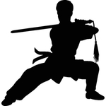 武术格斗剪影