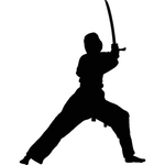 武术格斗剪影