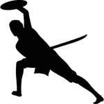 武术格斗剪影