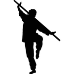 武术格斗剪影