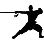 武术格斗剪影