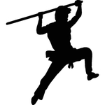 武术格斗剪影