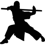 武术格斗剪影