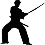 武术格斗剪影