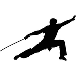 武术格斗剪影