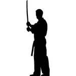 武术格斗剪影