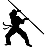 武术格斗剪影