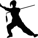 武术格斗剪影