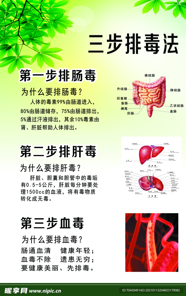 排毒 美容