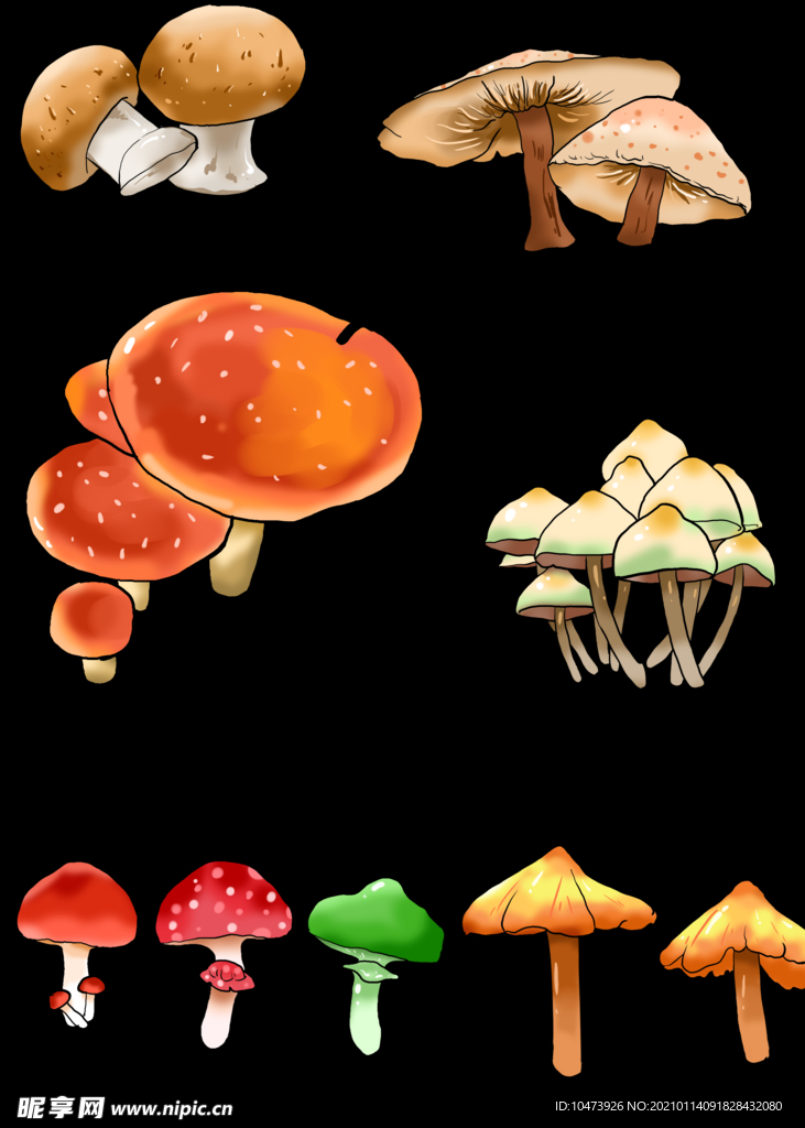 美味美食蘑菇