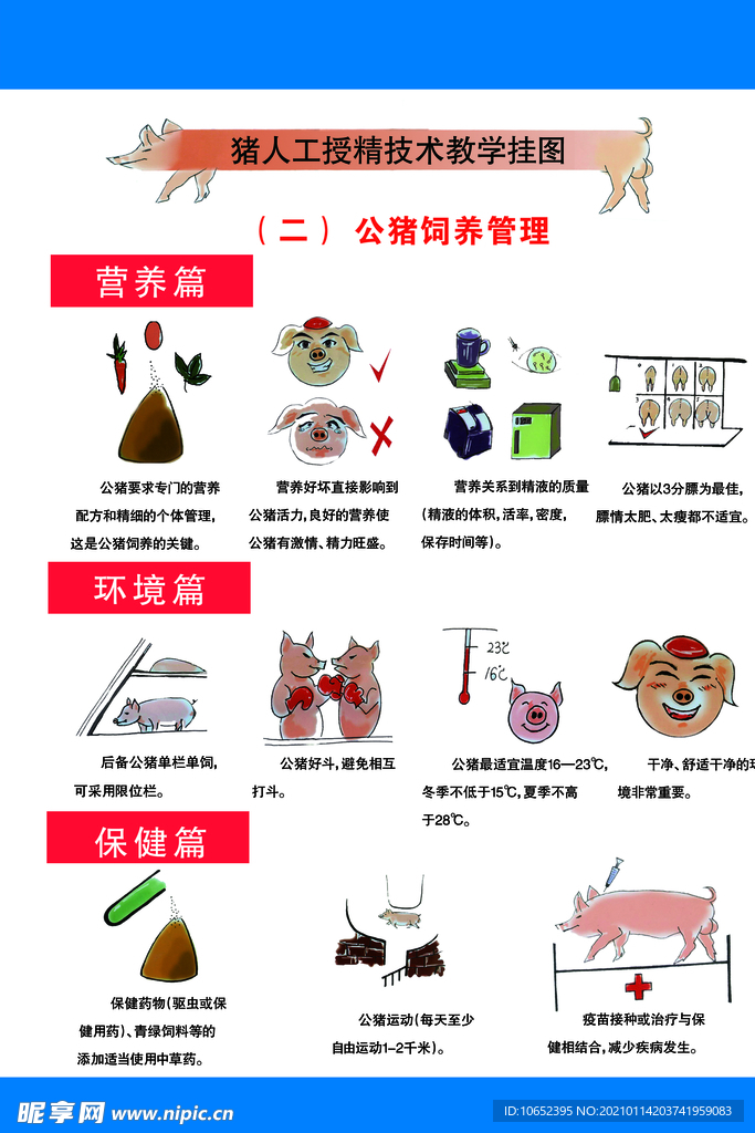 猪受精技术挂图