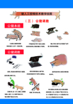猪受精技术挂图