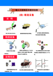 猪受精技术挂图