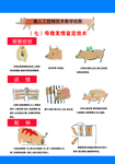 猪场技术展板