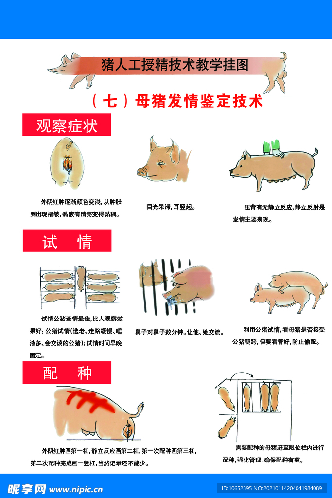 猪场技术展板