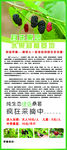 果园展架