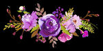 紫色鲜花花朵花卉花环水彩画