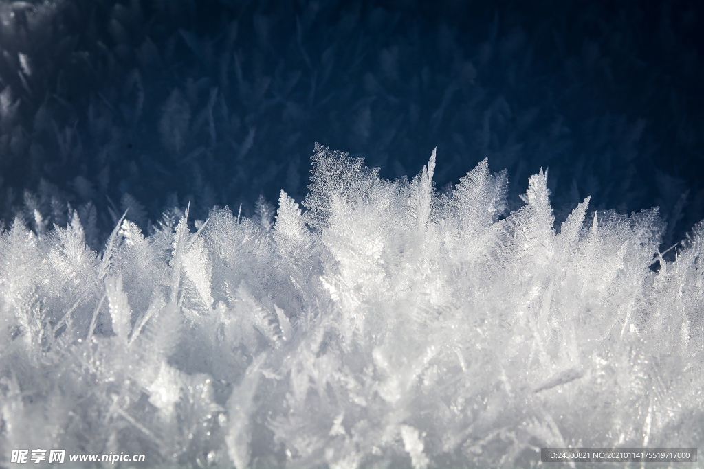 冰 雪 晶体 自然 冻结 冬天