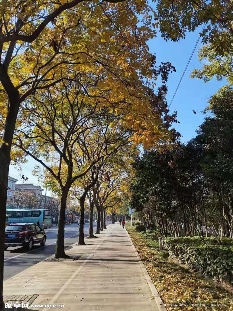 街道