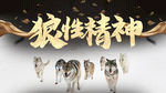 公司文化