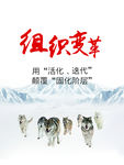 公司文化