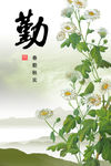 公司文化