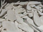 山药干