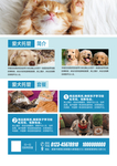 爱犬托管宣传单设计
