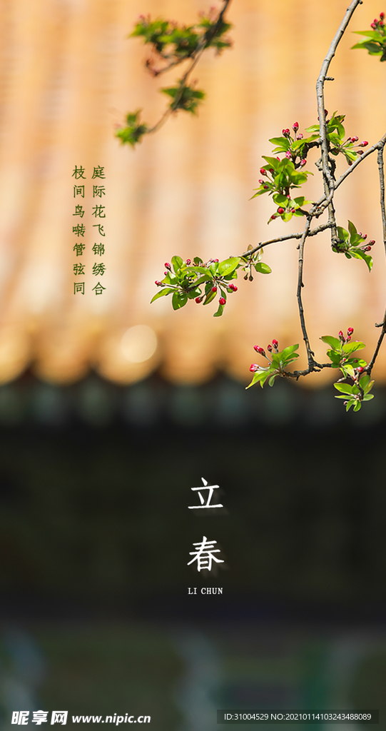 立春