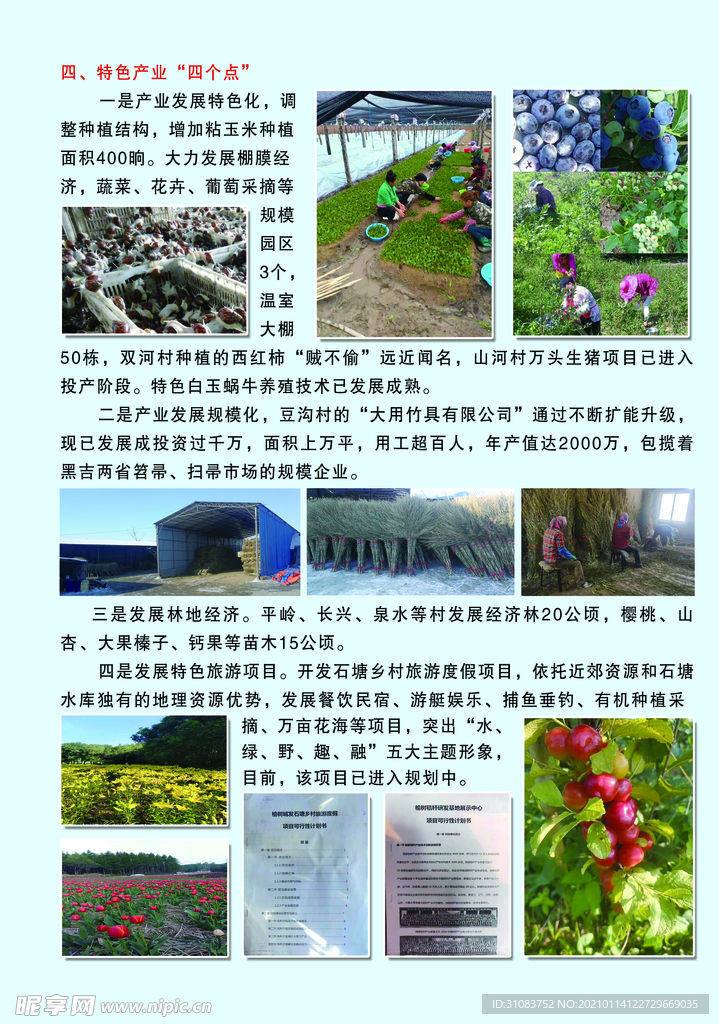 产业特色四个点