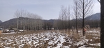 山里的土地