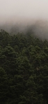 自然界   风景    图片