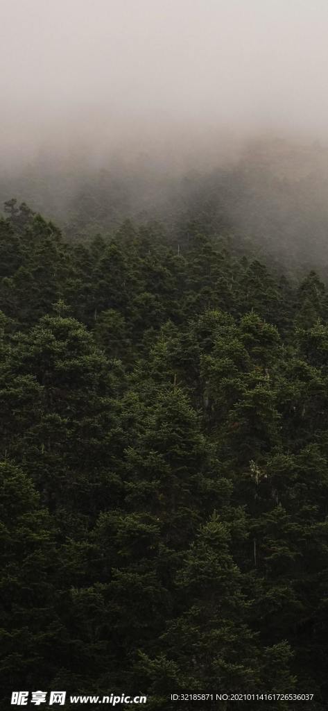 自然界   风景    图片